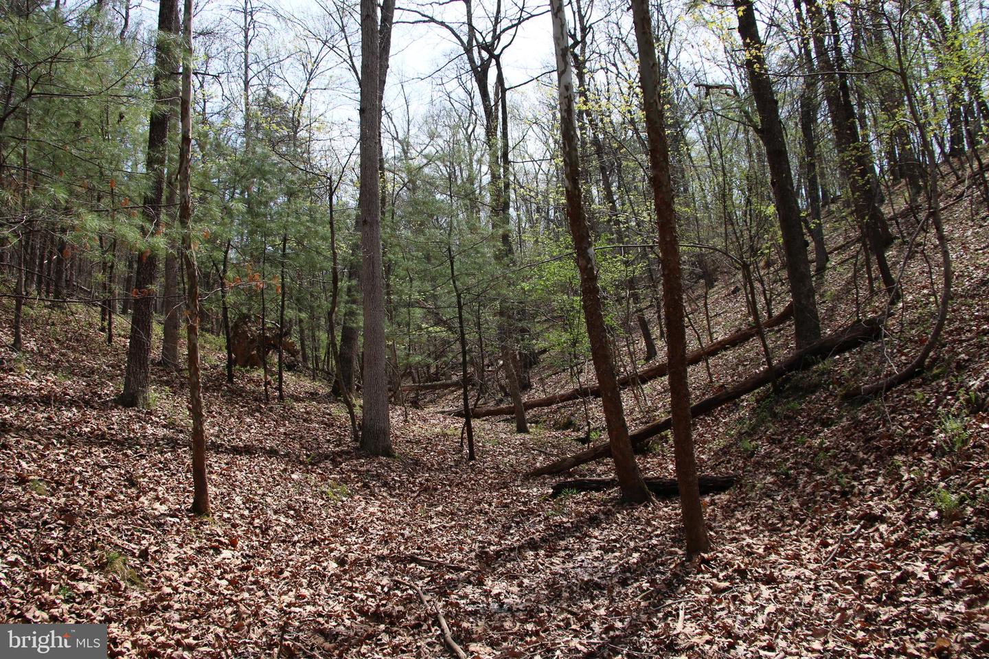 Hodges Lot 14 Ln Property Photo 9