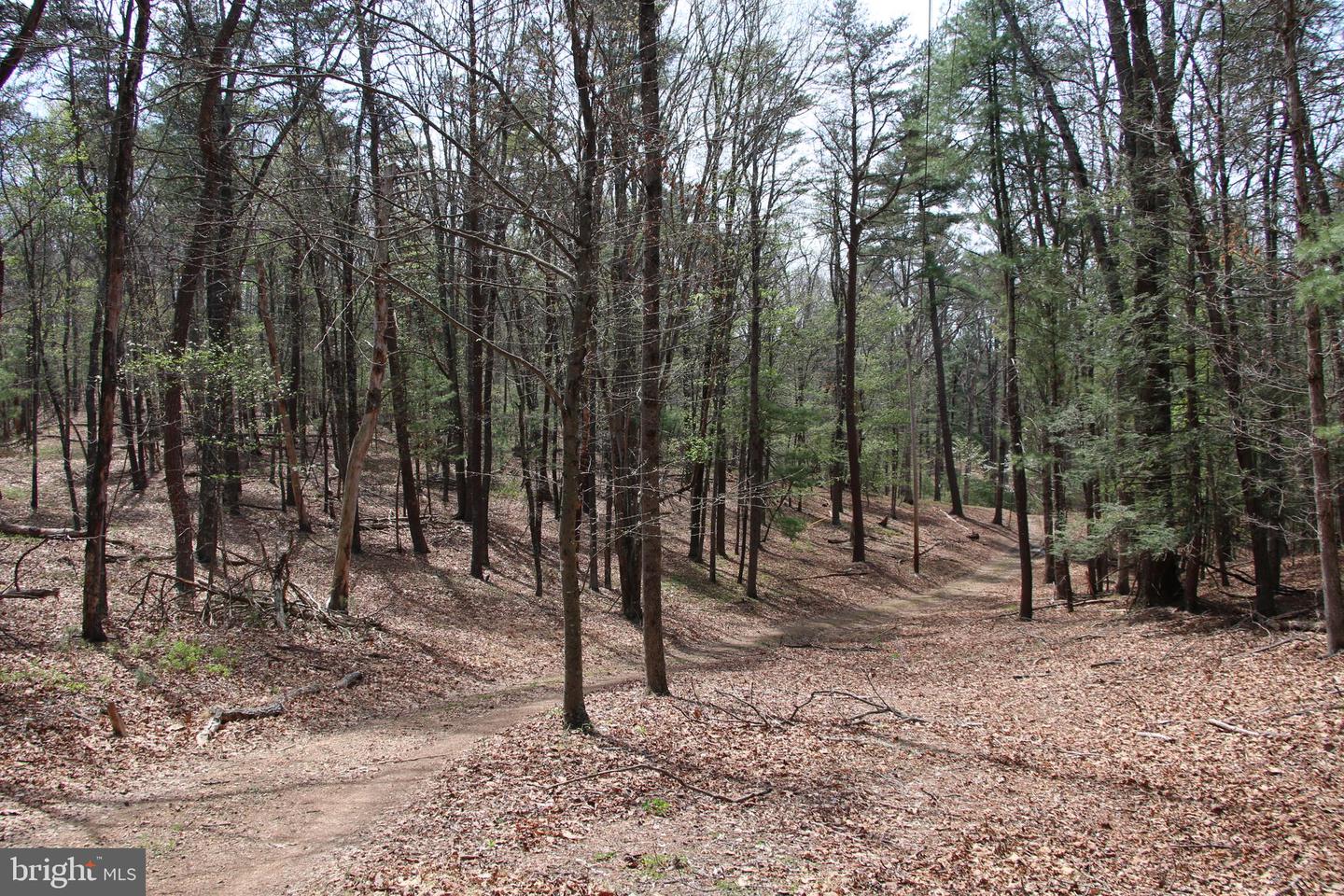 Hodges Lot 14 Ln Property Photo 10