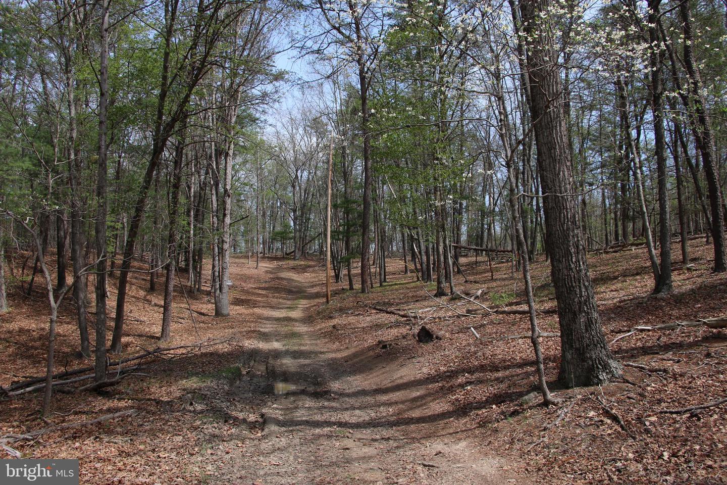 Hodges Lot 14 Ln Property Photo 11