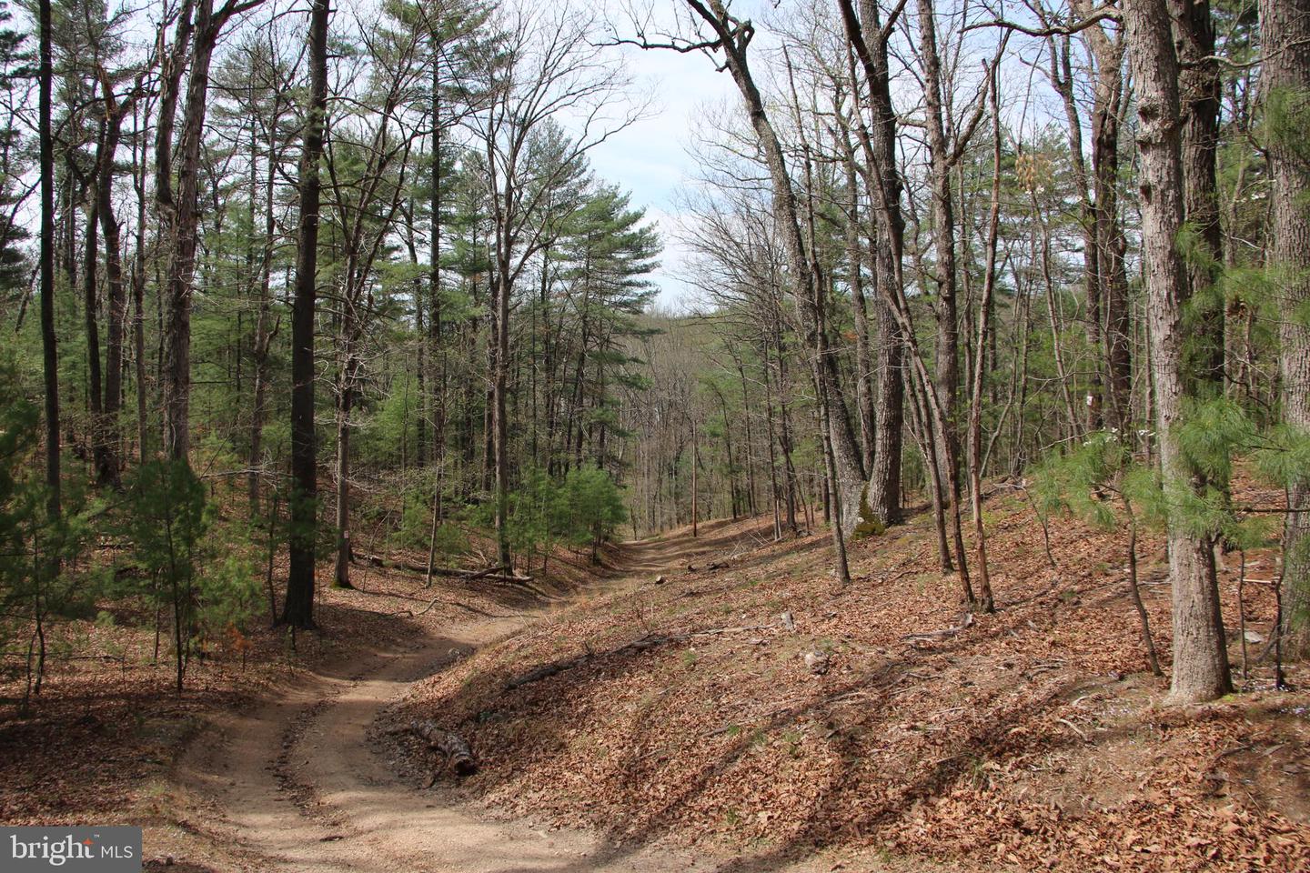 Hodges Lot 14 Ln Property Photo 12