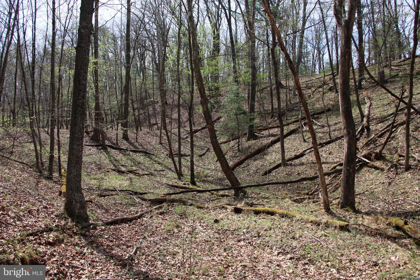 Hodges Lot 14 Ln Property Photo 13