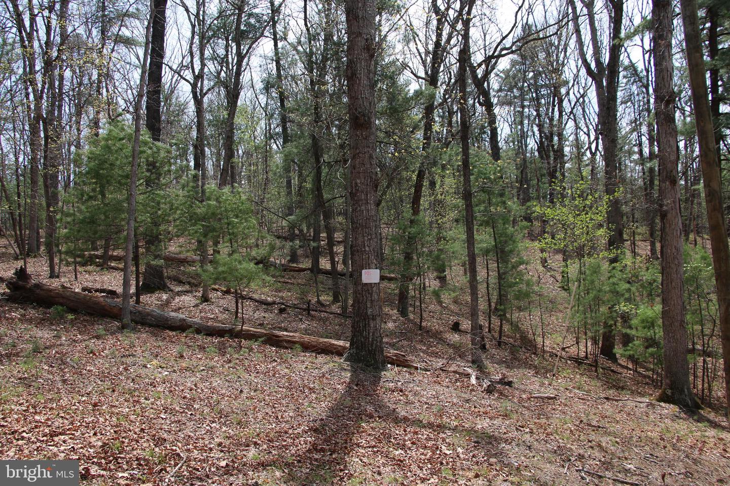 Hodges Lot 14 Ln Property Photo 14