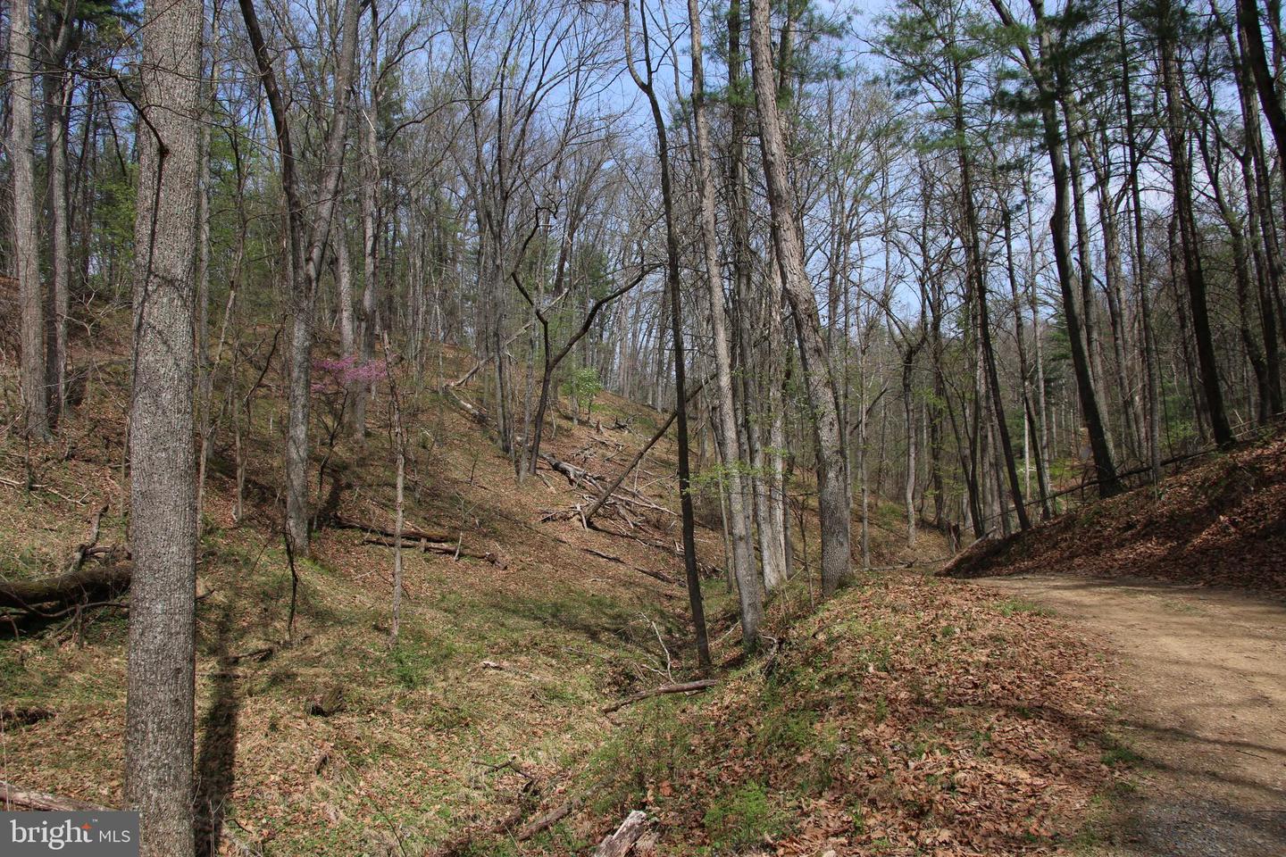 Hodges Lot 14 Ln Property Photo 15