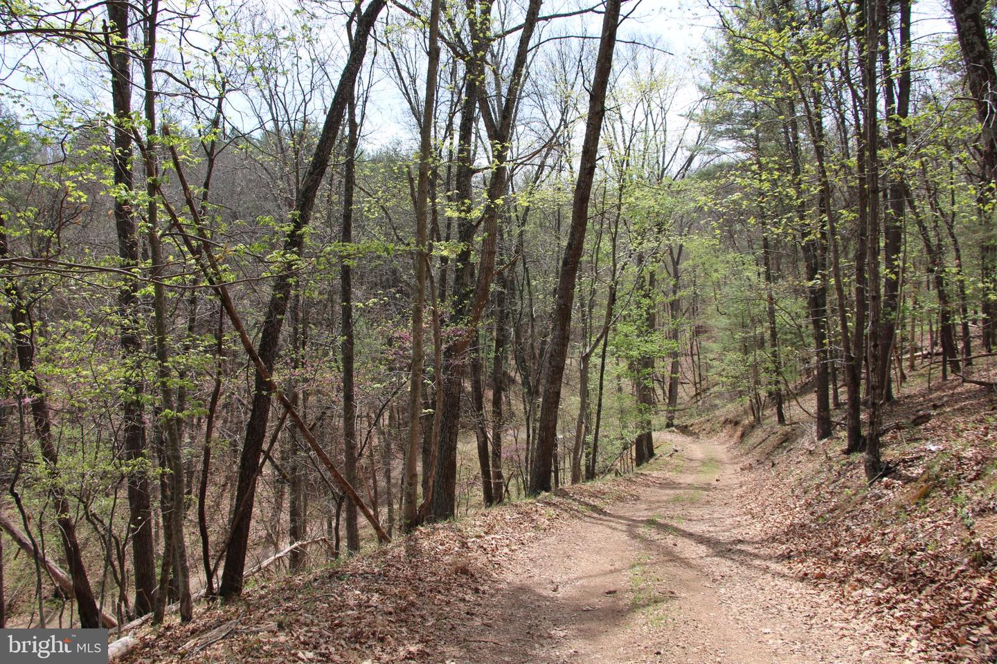 Hodges Lot 14 Ln Property Photo 16