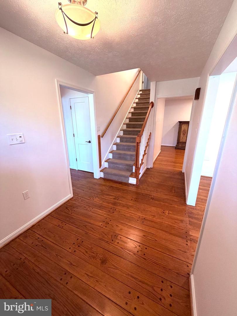 405 Spring Valley Dr Property Photo 18