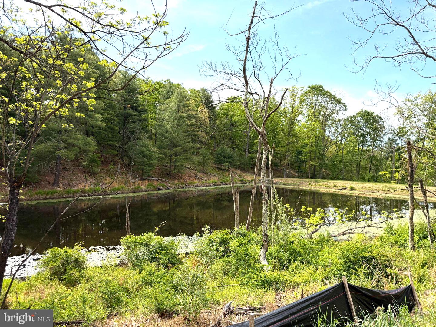LOT 1 CRESTED MOUNTAIN LN Property Photo 1