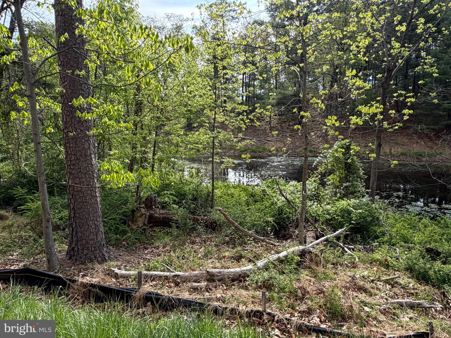 Lot 2 Crested Mountain Ln Property Photo 2