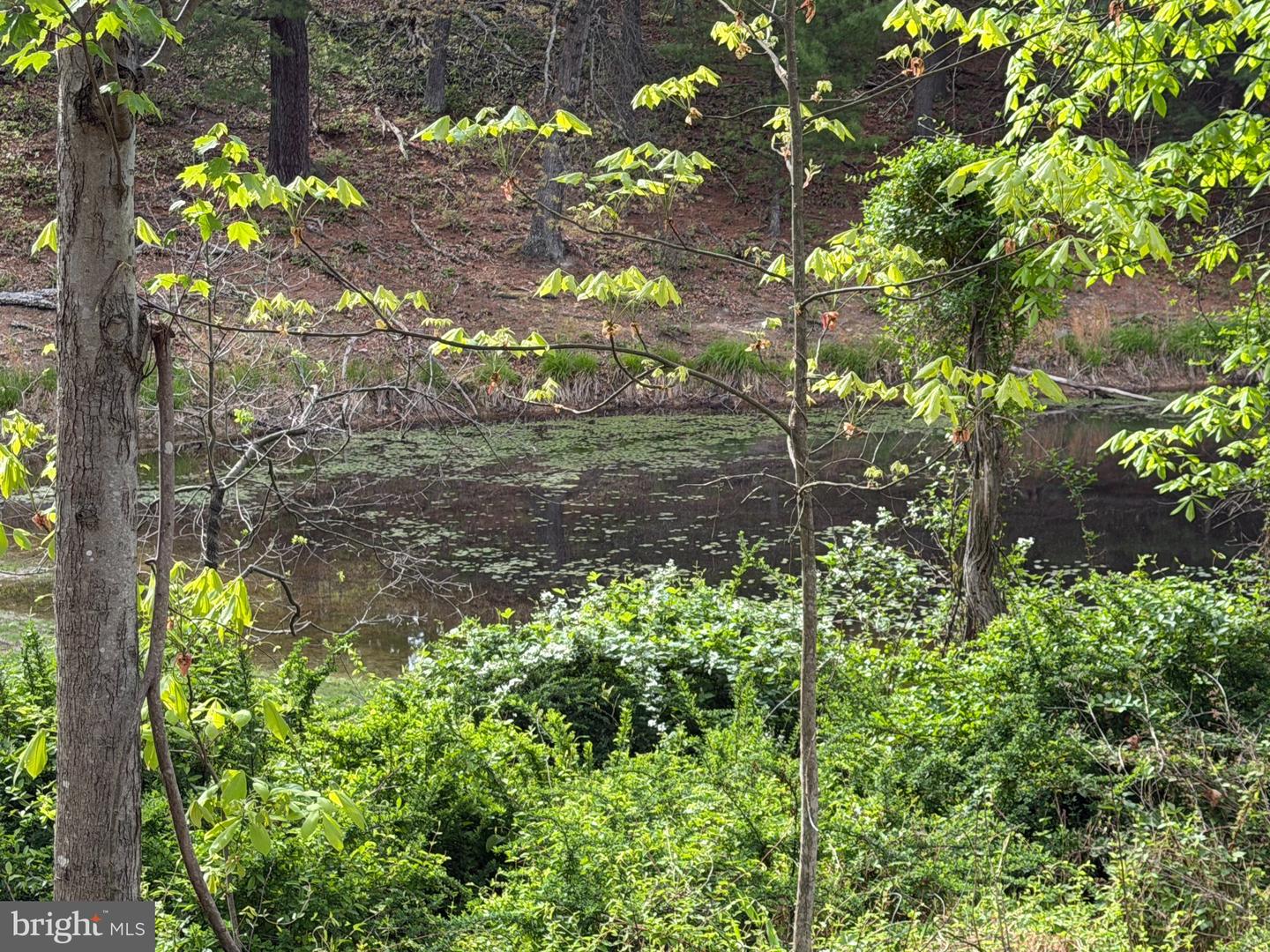 Lot 2 Crested Mountain Ln Property Photo 4