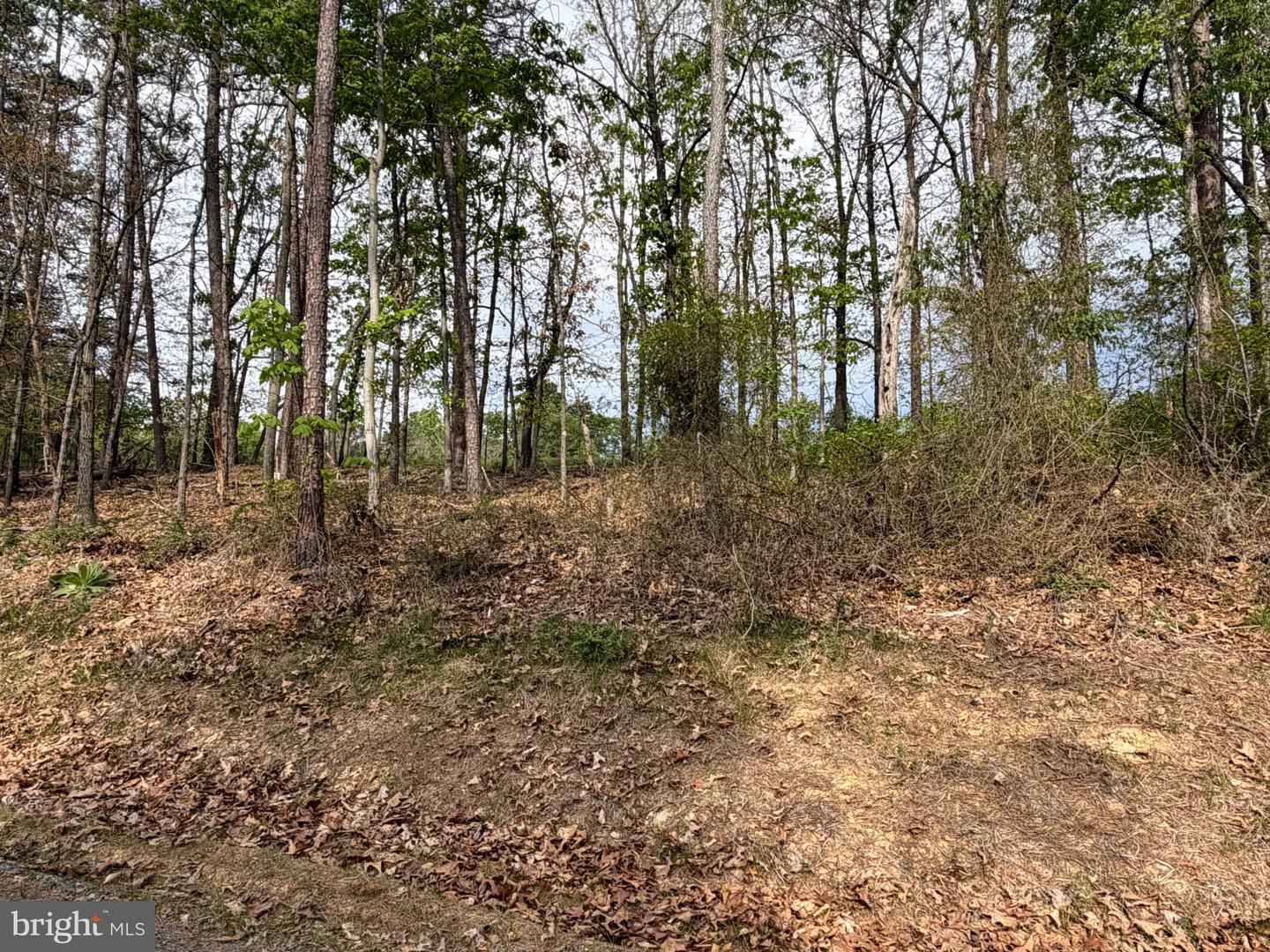 Lot 2 Crested Mountain Ln Property Photo 5
