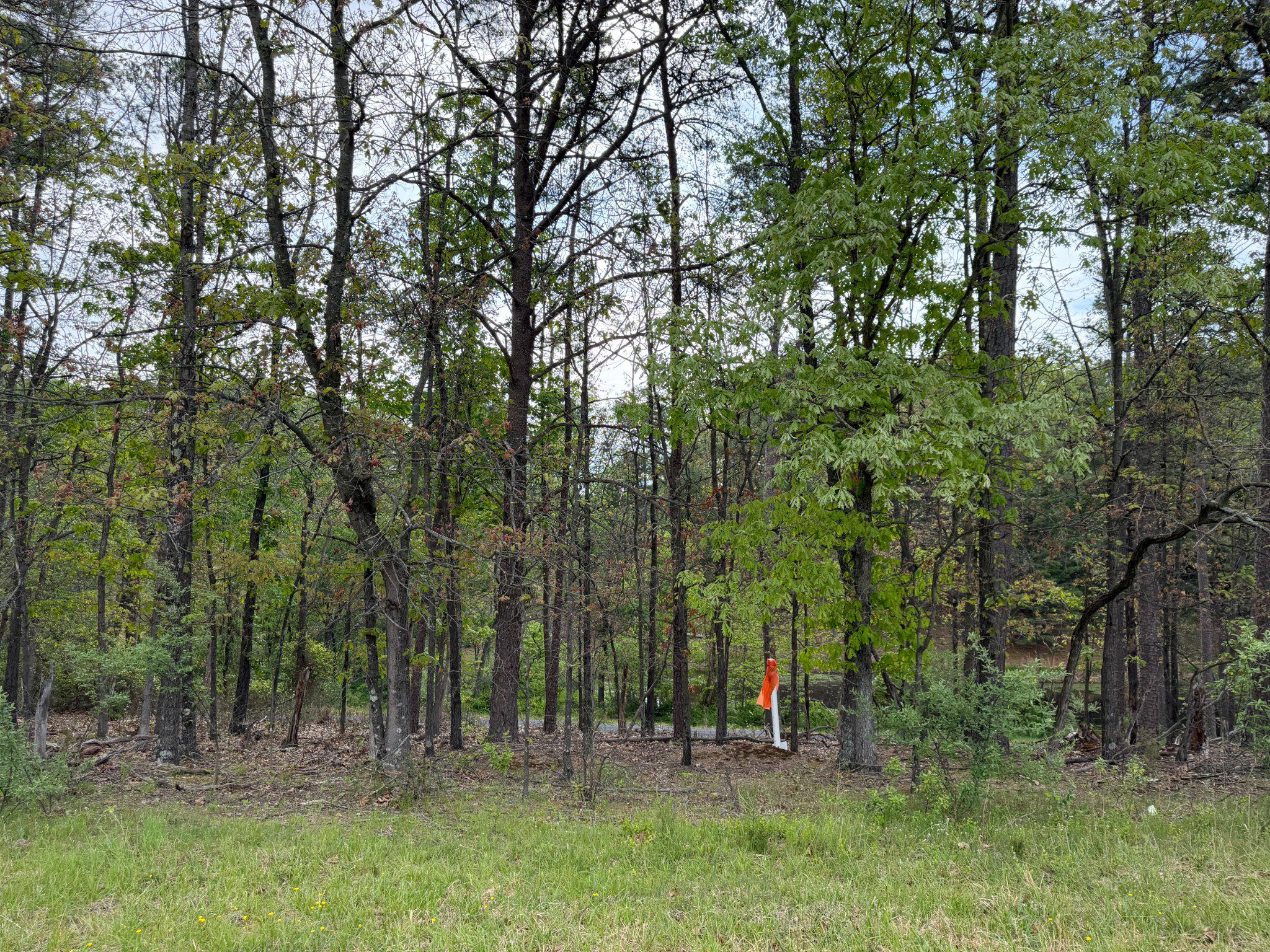 Lot 2 Crested Mountain Ln Property Photo 6