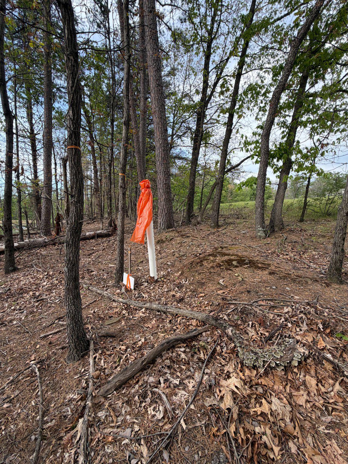Lot 2 Crested Mountain Ln Property Photo 7