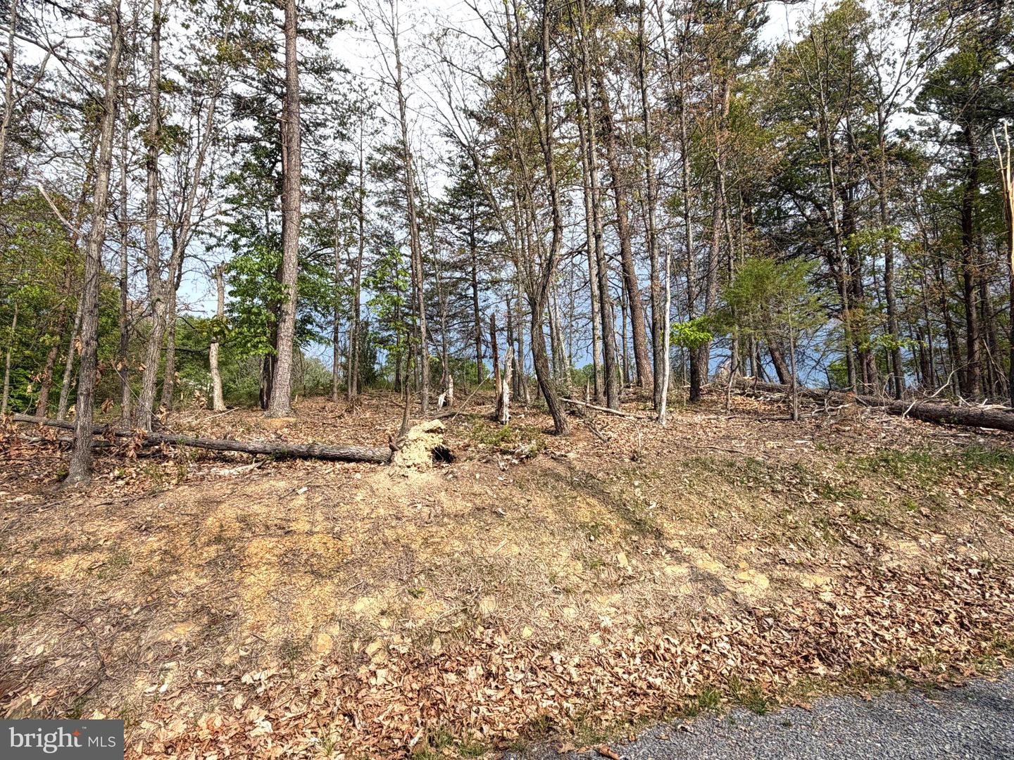 Lot 2 Crested Mountain Ln Property Photo 13