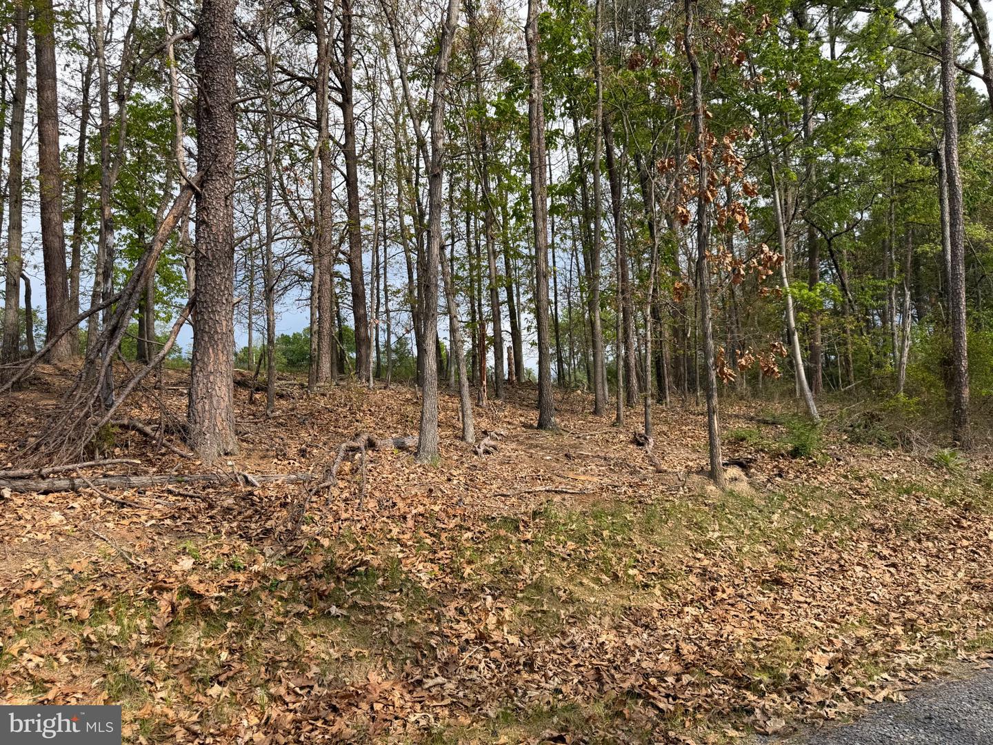 Lot 2 Crested Mountain Ln Property Photo 14