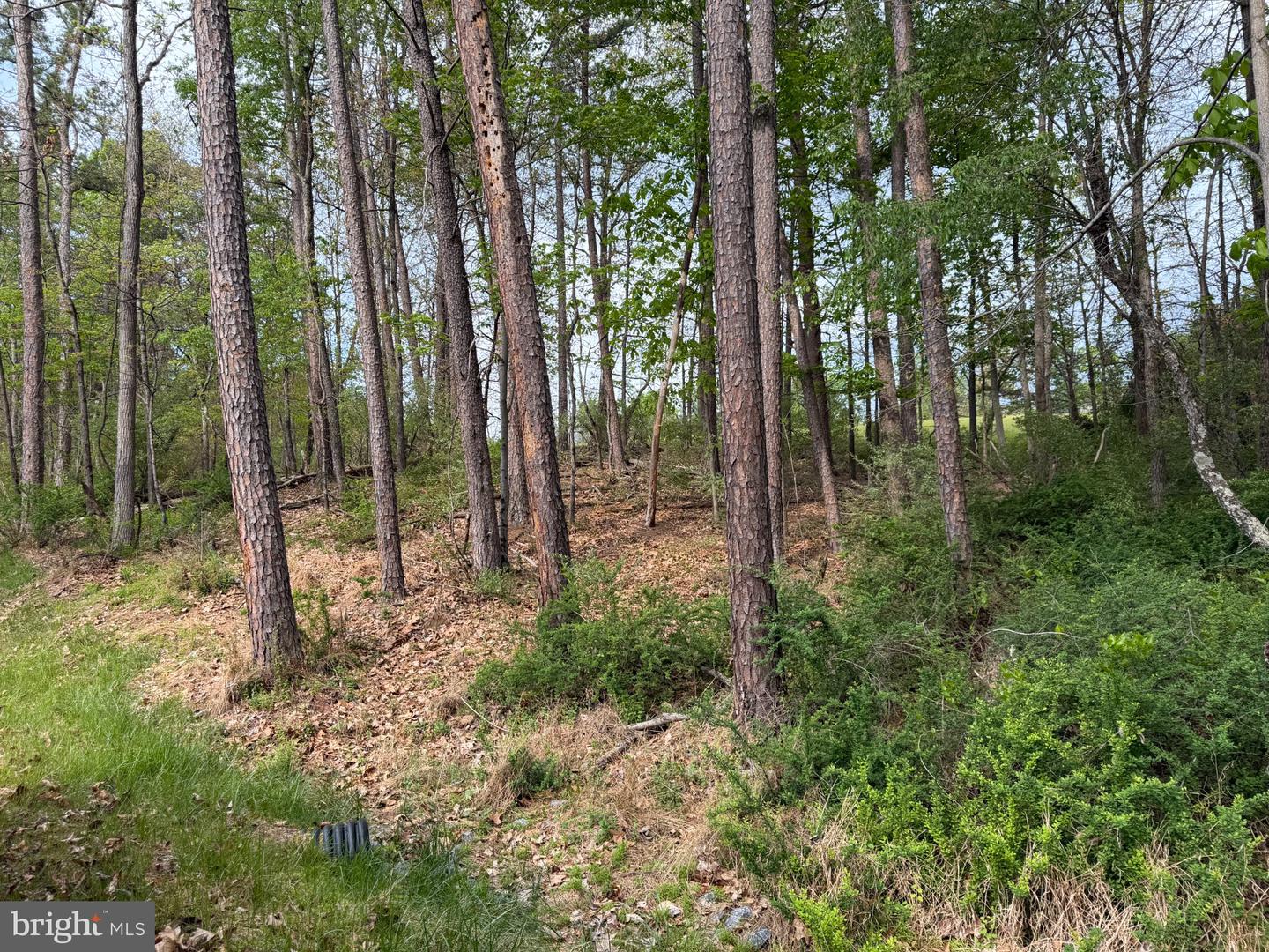 Lot 2 Crested Mountain Ln Property Photo 15