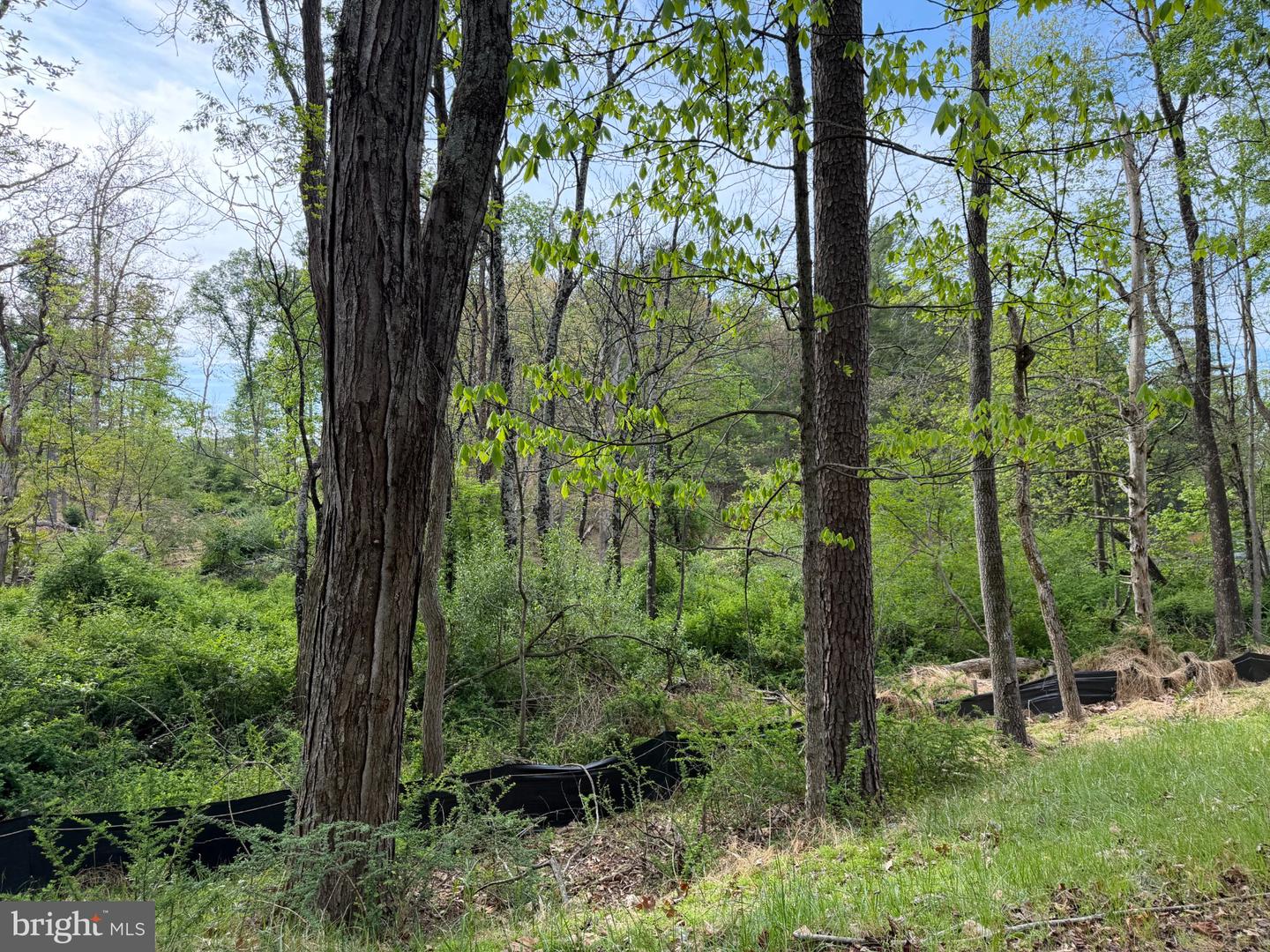 Lot 2 Crested Mountain Ln Property Photo 16