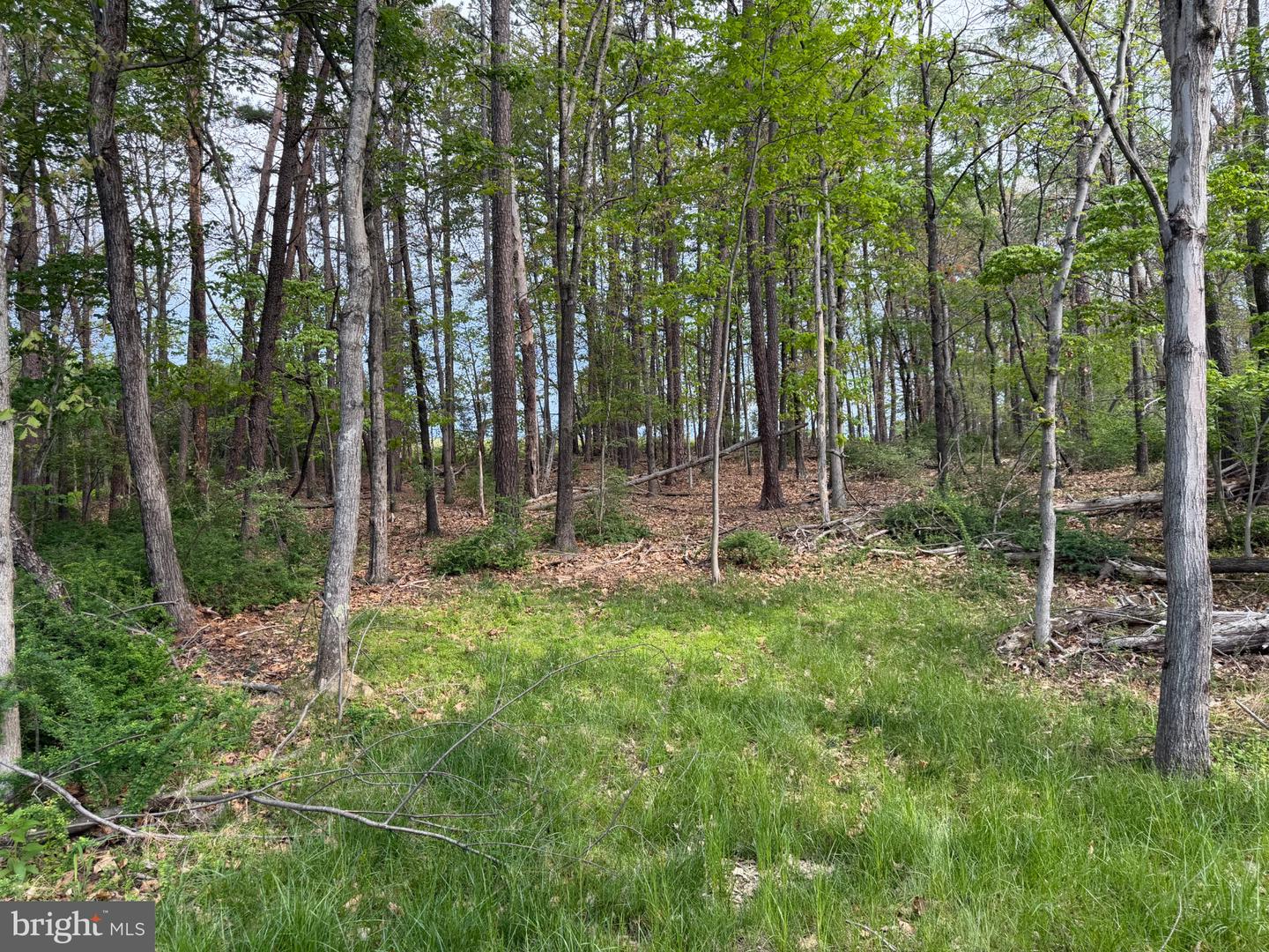 Lot 2 Crested Mountain Ln Property Photo 17