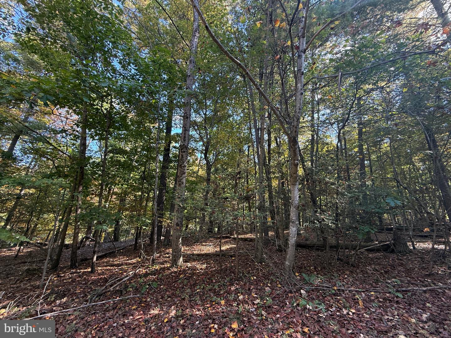 102 SOUTHWOOD Property Photo 1