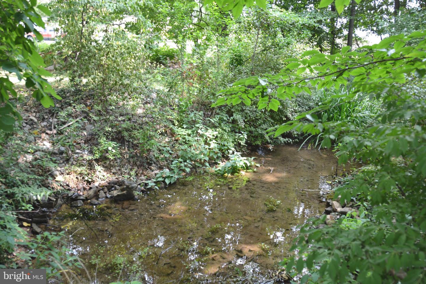 2431 Cedar Creek Grade Property Photo 64