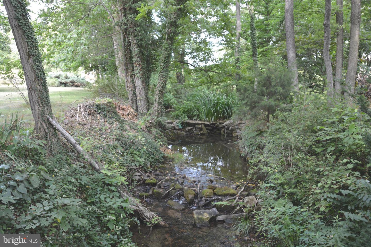 2431 Cedar Creek Grade Property Photo 67