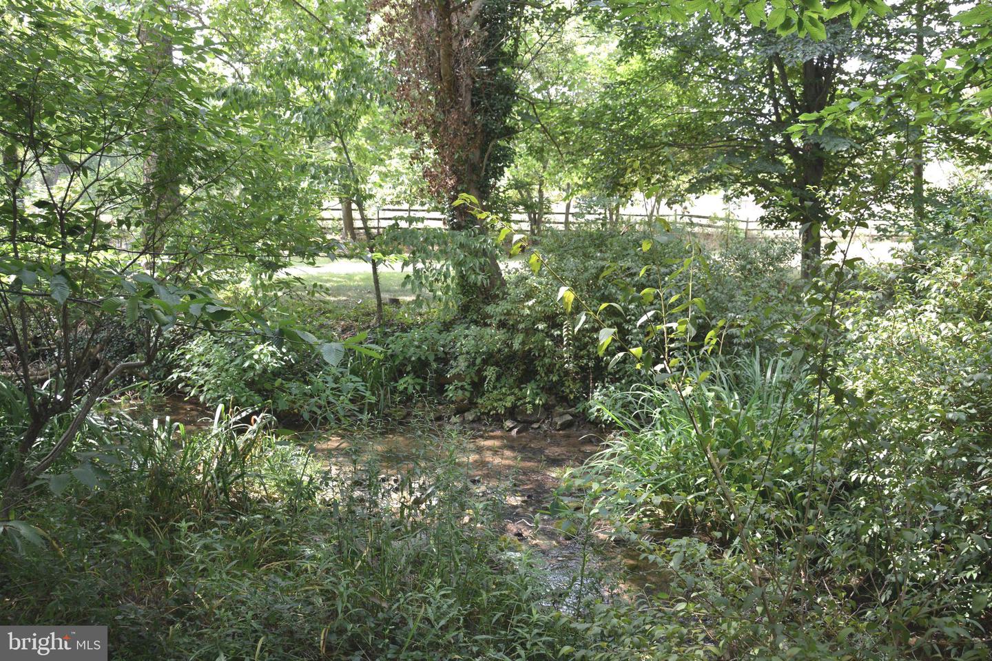 2431 Cedar Creek Grade Property Photo 68