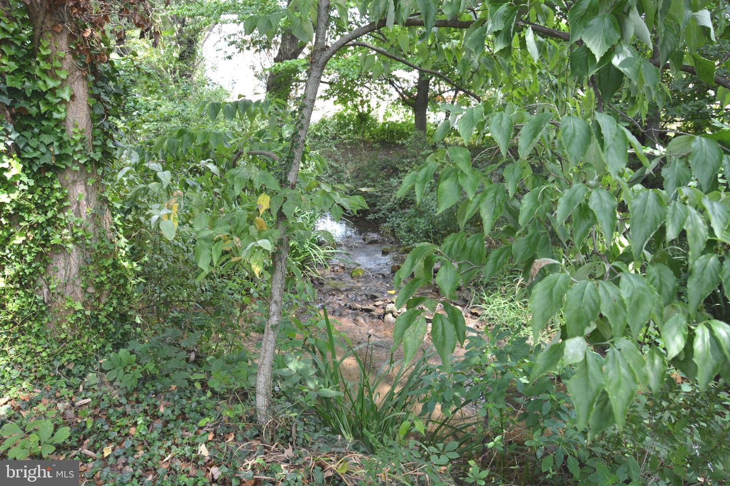 2431 Cedar Creek Grade Property Photo 70