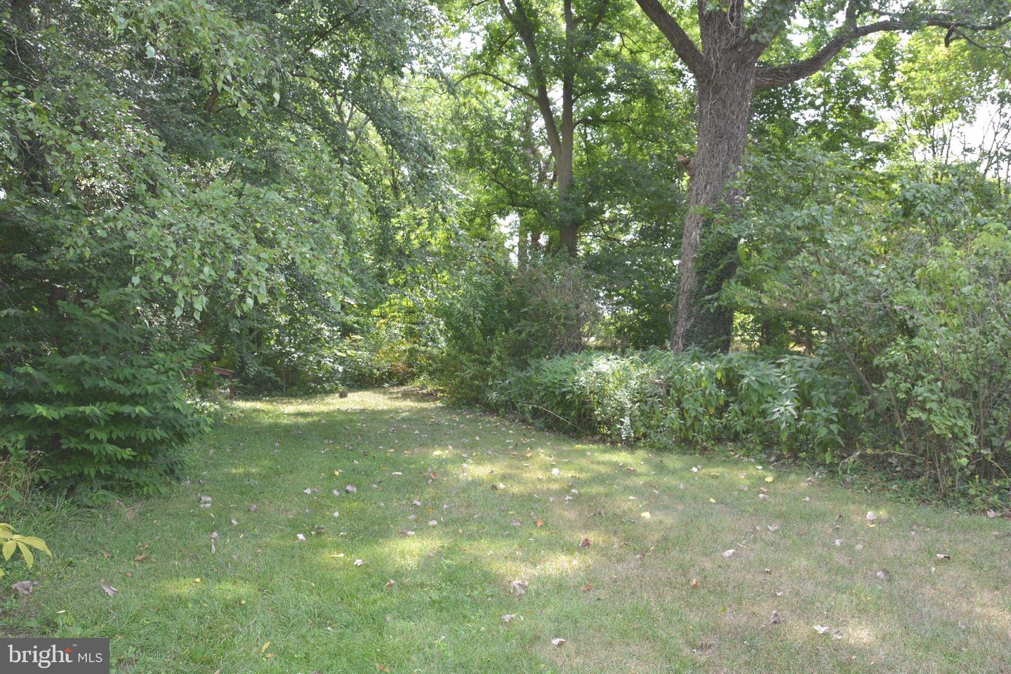 2431 Cedar Creek Grade Property Photo 71