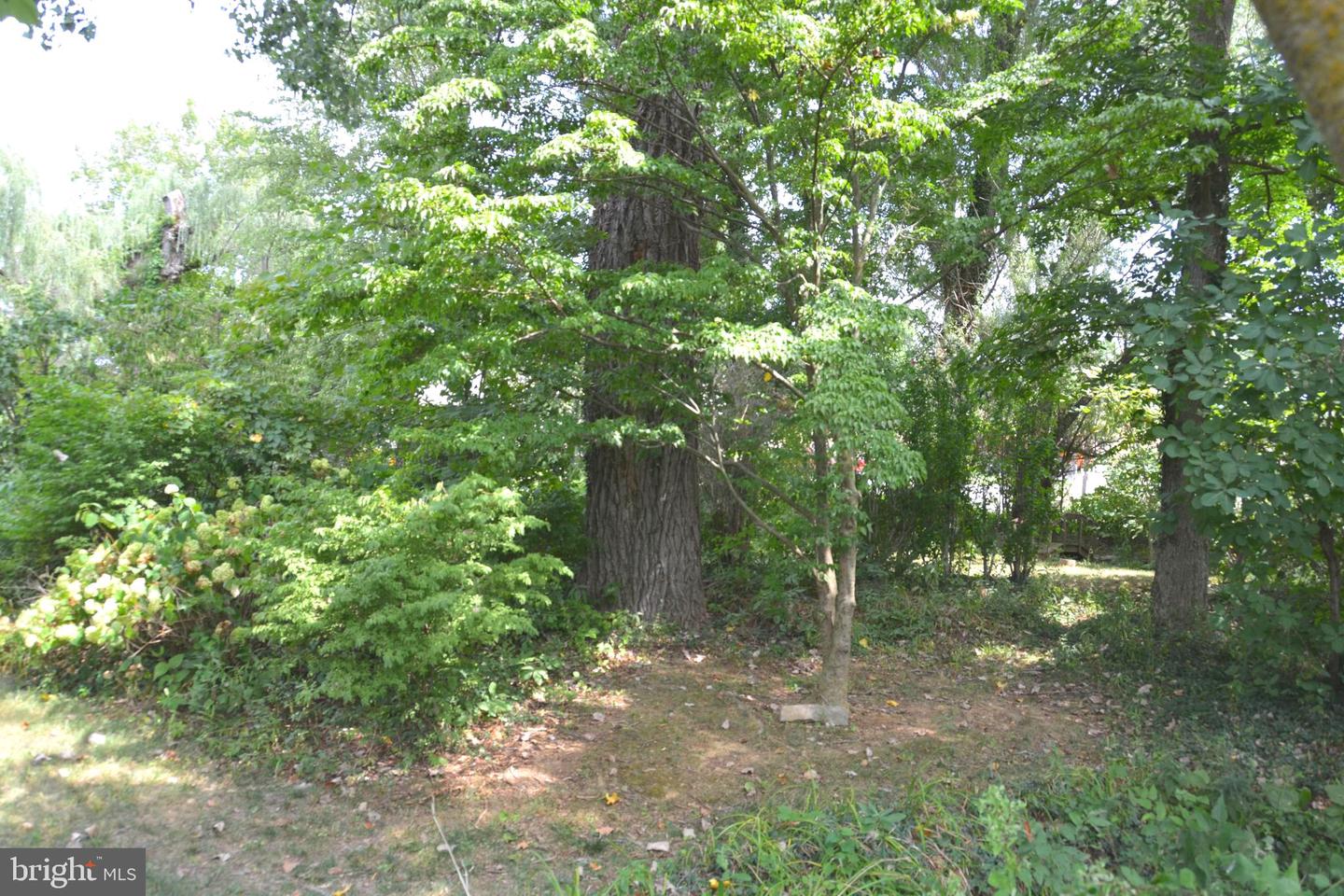2431 Cedar Creek Grade Property Photo 73