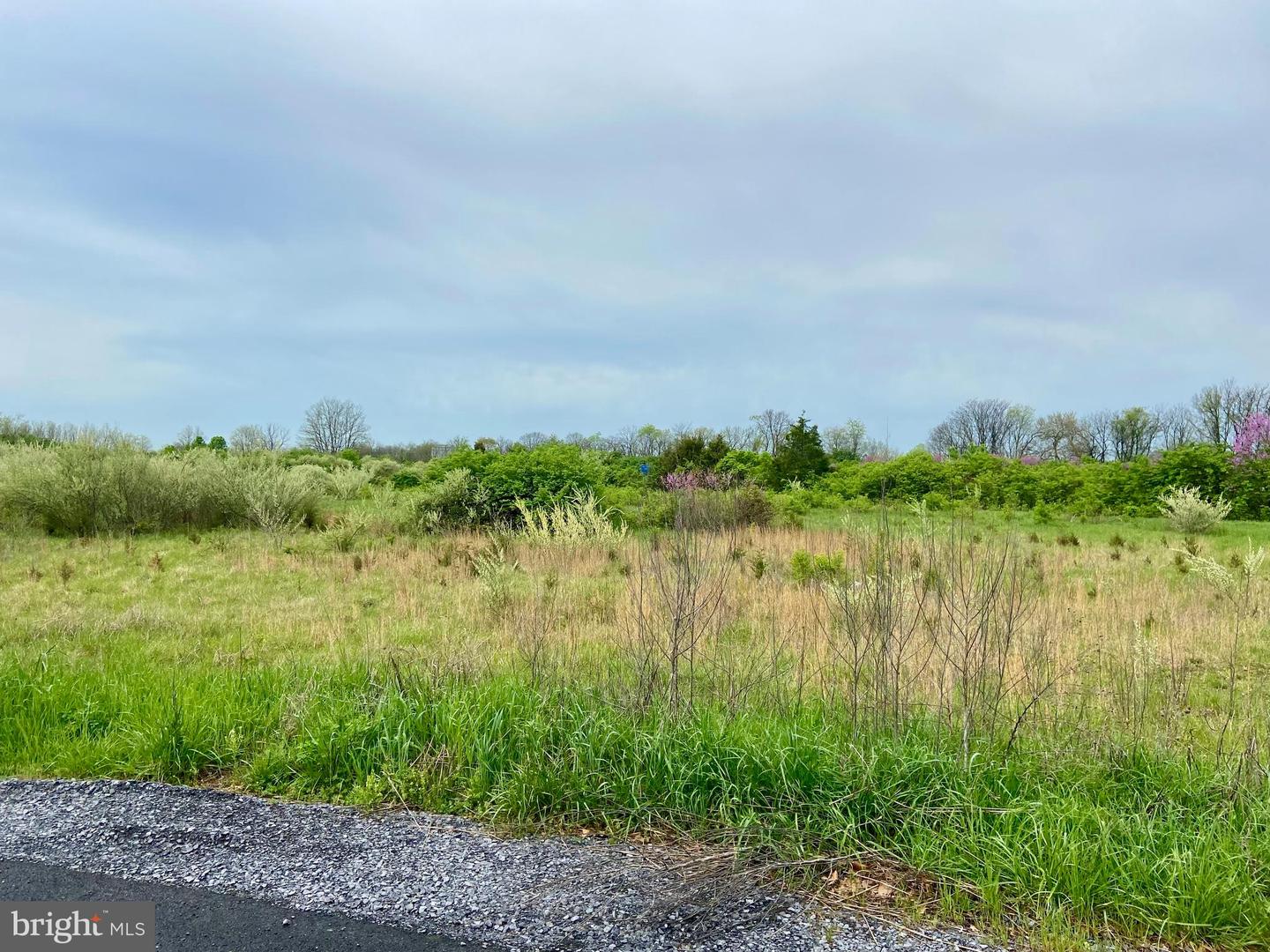 13.64 Acres Hopewell Ln Property Photo 7