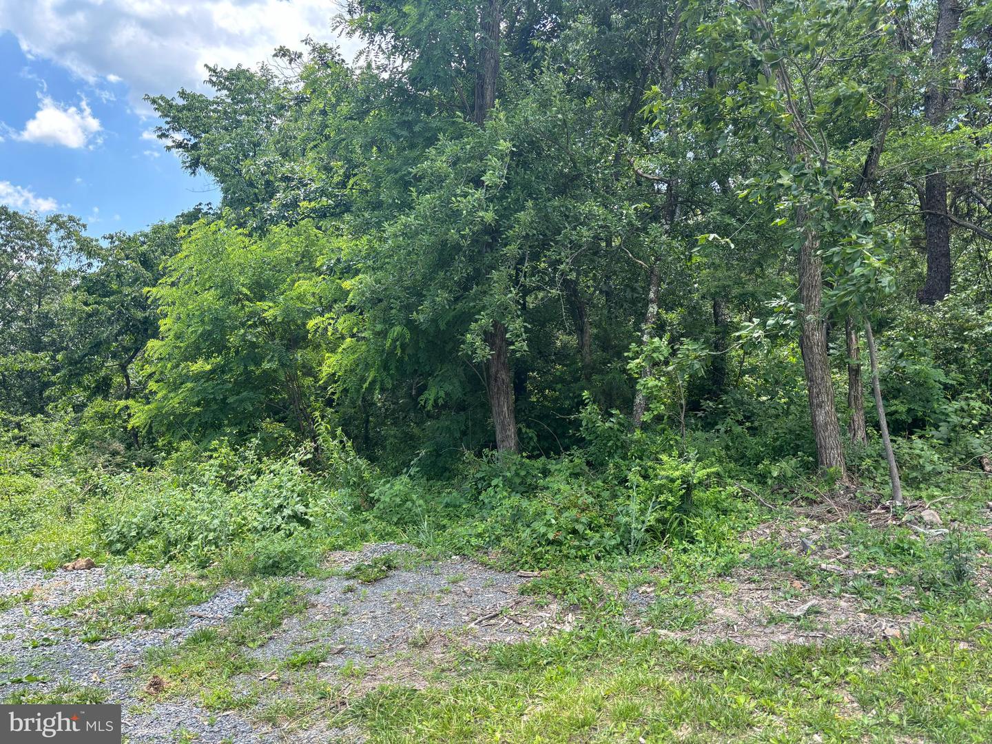 0 Wardensville Grade Property Photo 2