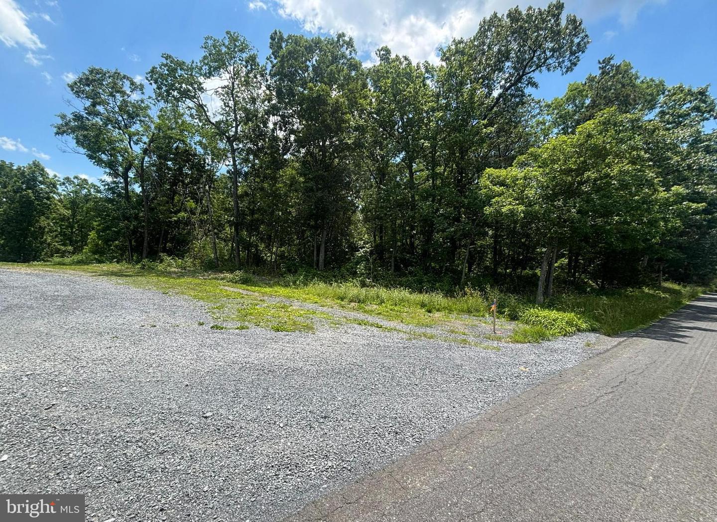 0 Wardensville Grade Property Photo 4