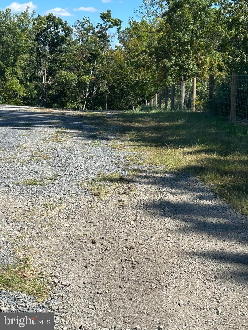 0 Wardensville Grade Property Photo 9
