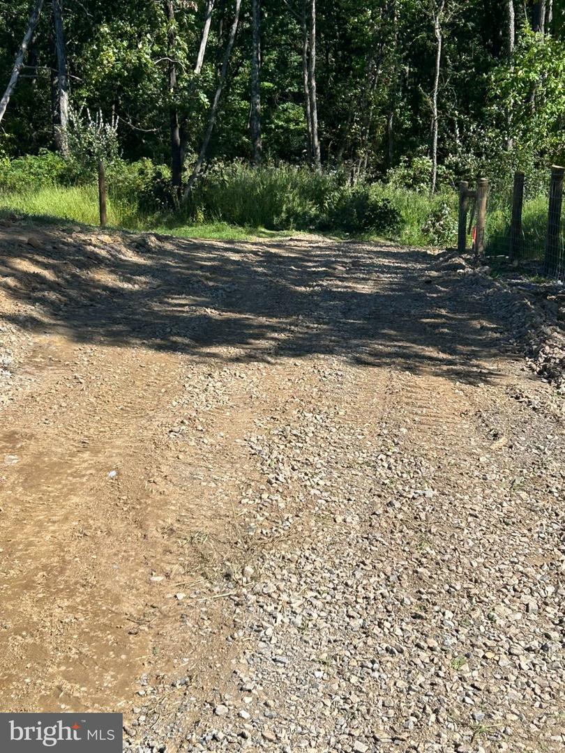 0 Wardensville Grade Property Photo 10