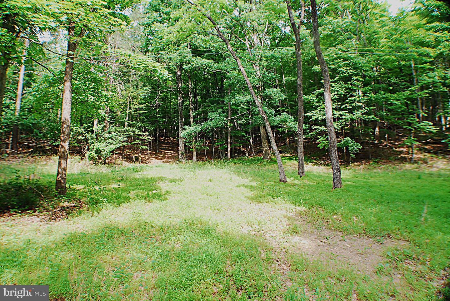 Lot 5 Snake Property Photo 1