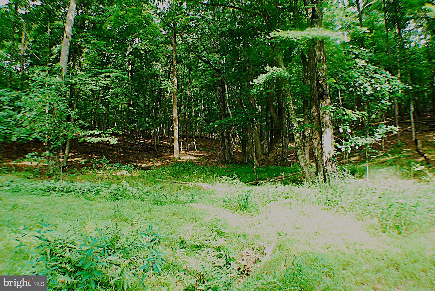 Lot 5 Snake Property Photo 2