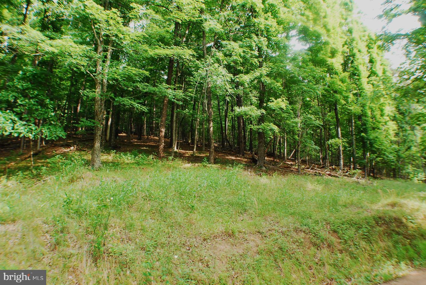 Lot 5 Snake Property Photo 3
