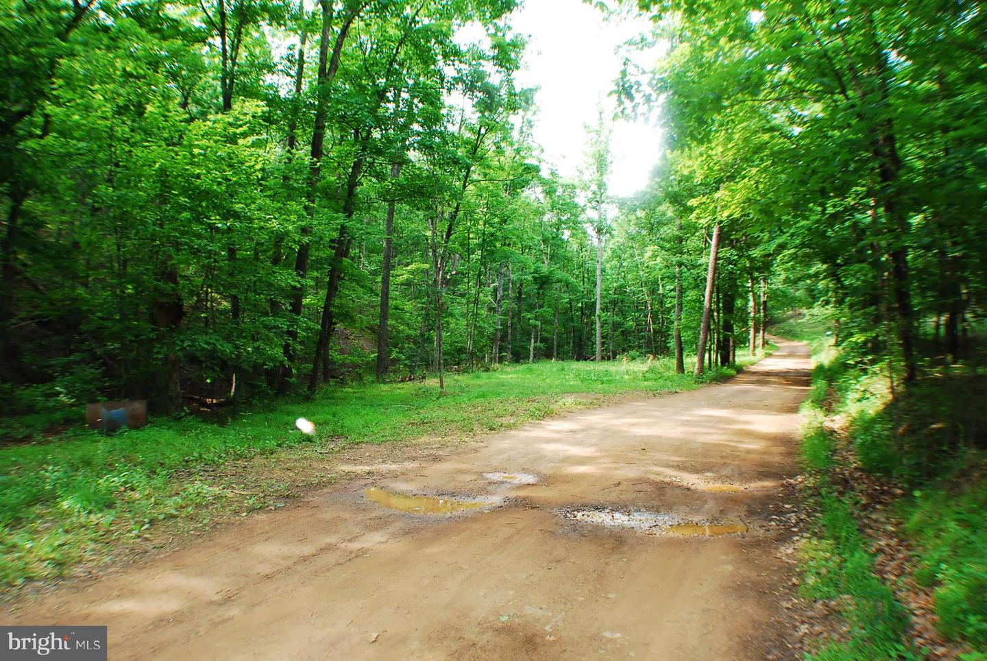 Lot 5 Snake Property Photo 4