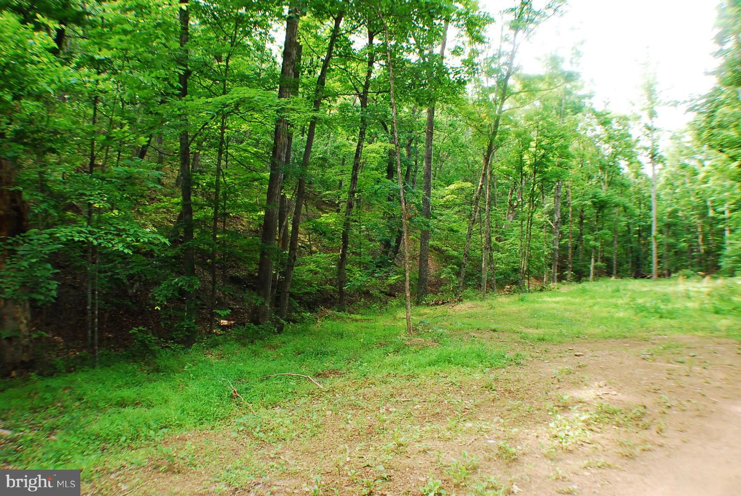 Lot 5 Snake Property Photo 5