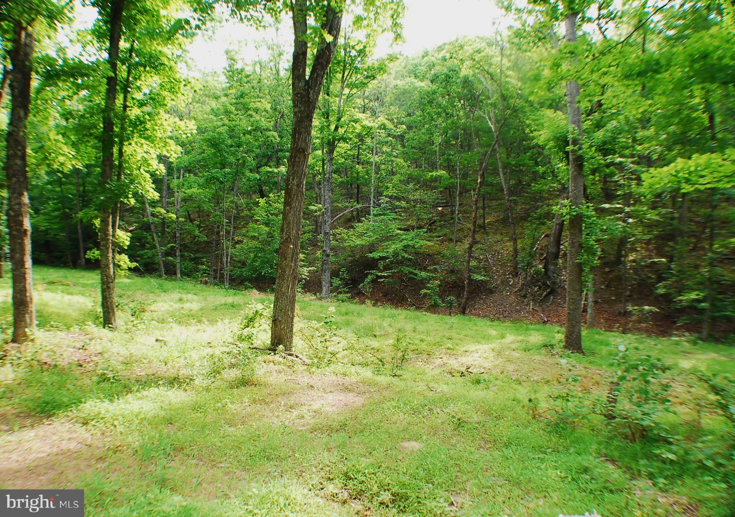 Lot 5 Snake Property Photo 7
