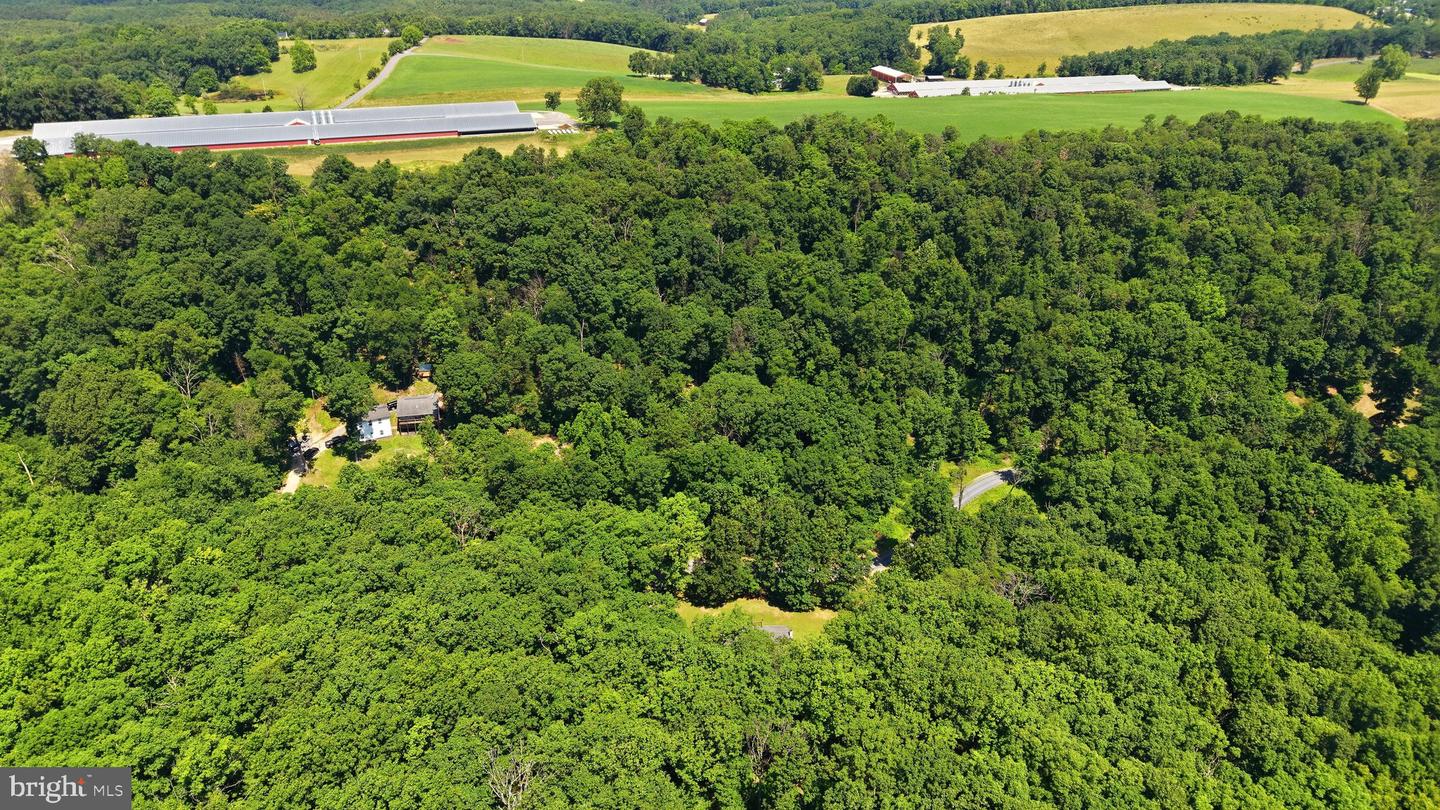 1210 Logger Dr Property Photo 40