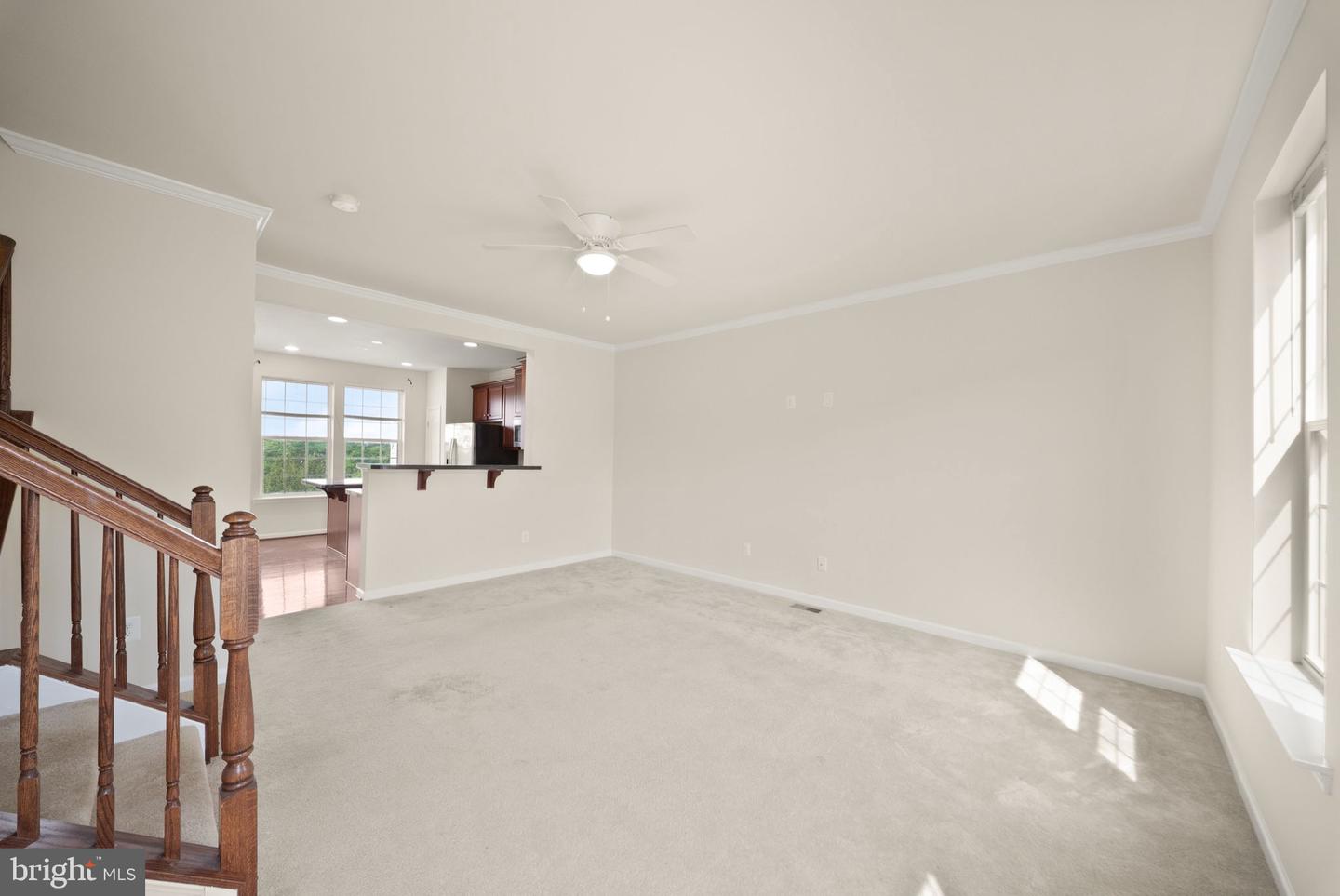 241 Schramm Loop Property Photo 19