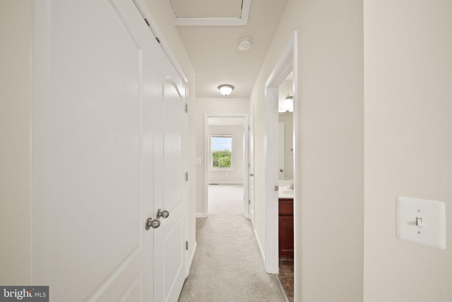 241 Schramm Loop Property Photo 22