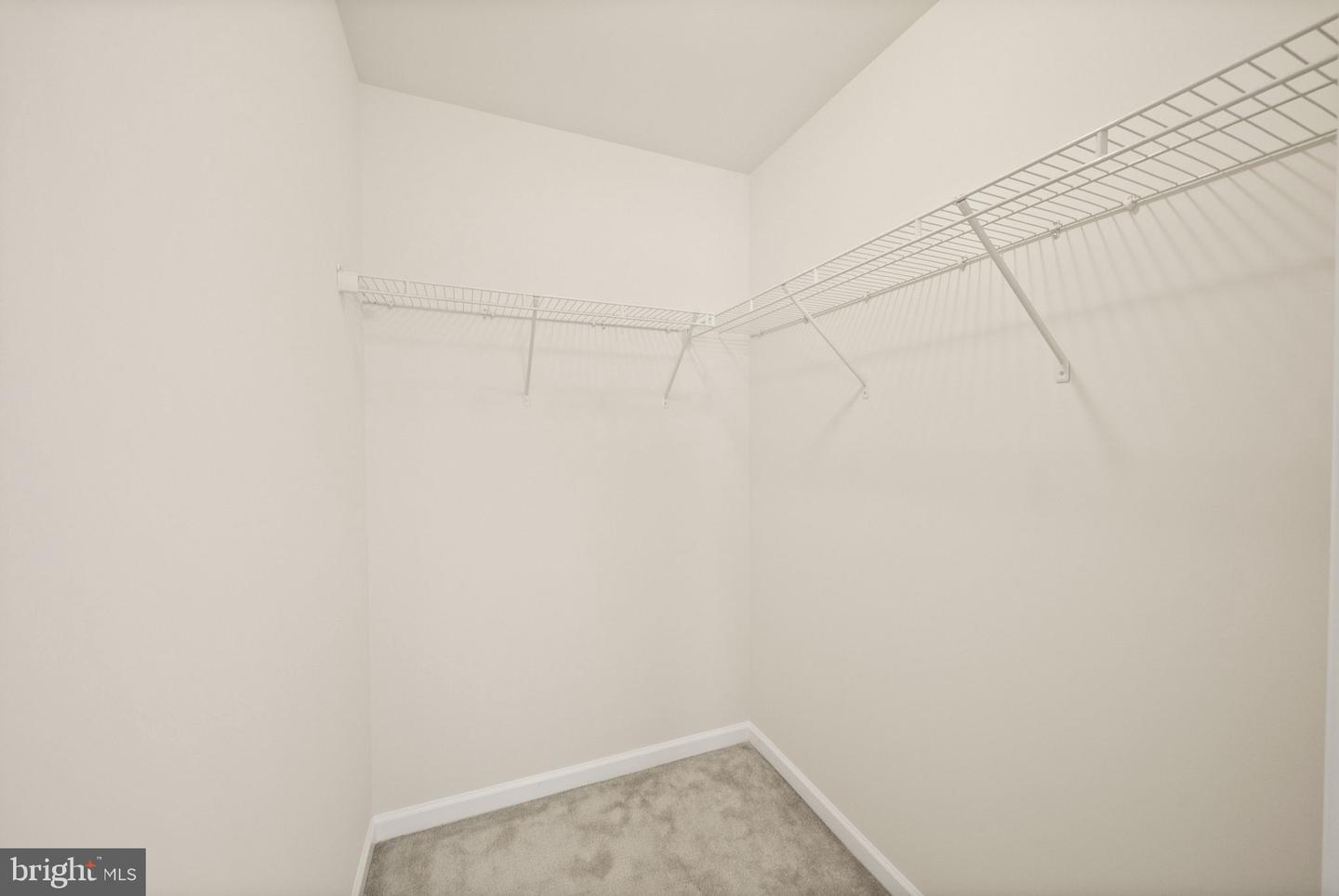 241 Schramm Loop Property Photo 28