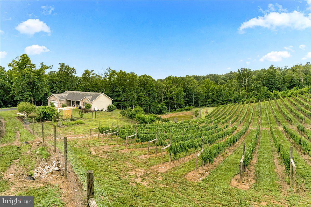 1309 Redland Rd Property Photo 75