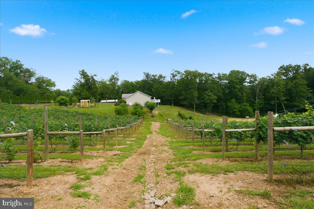 1309 Redland Rd Property Photo 78