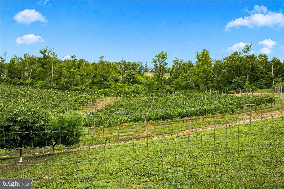 1309 Redland Rd Property Photo 86