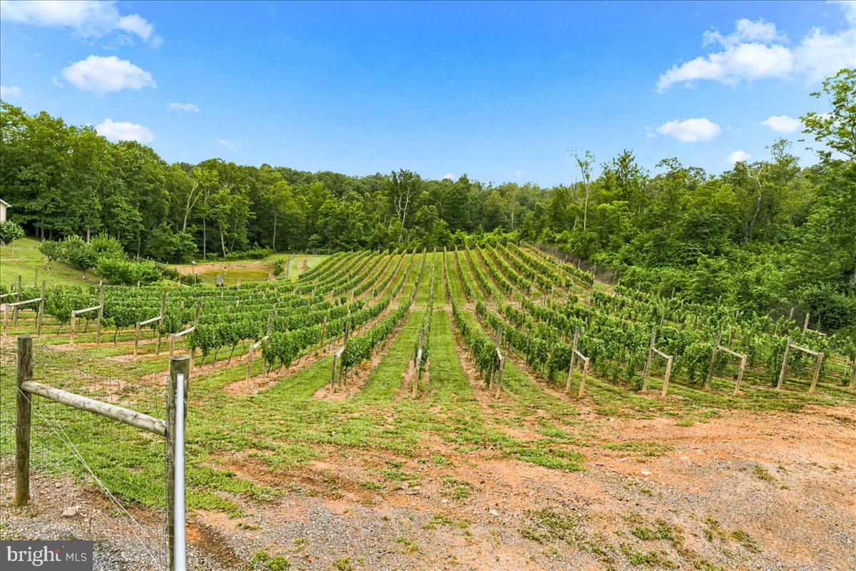 1309 Redland Rd Property Photo 87