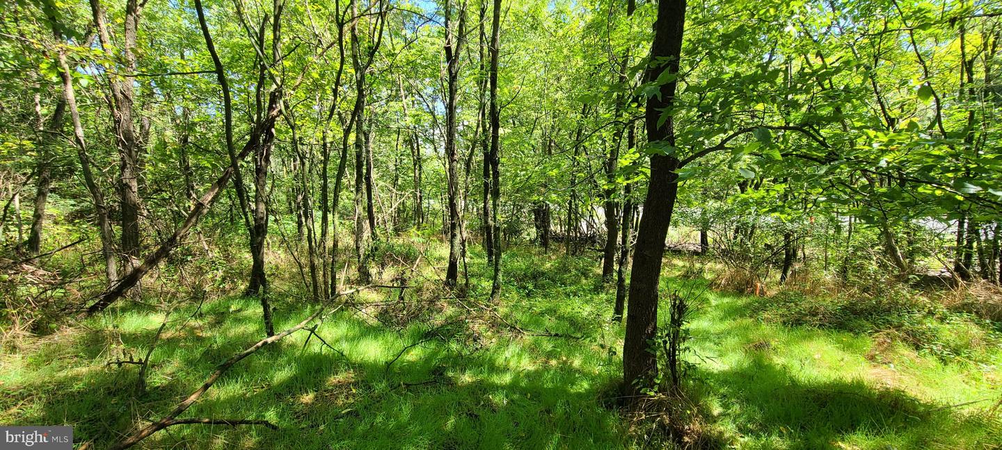 209 Mineral St Property Photo 1
