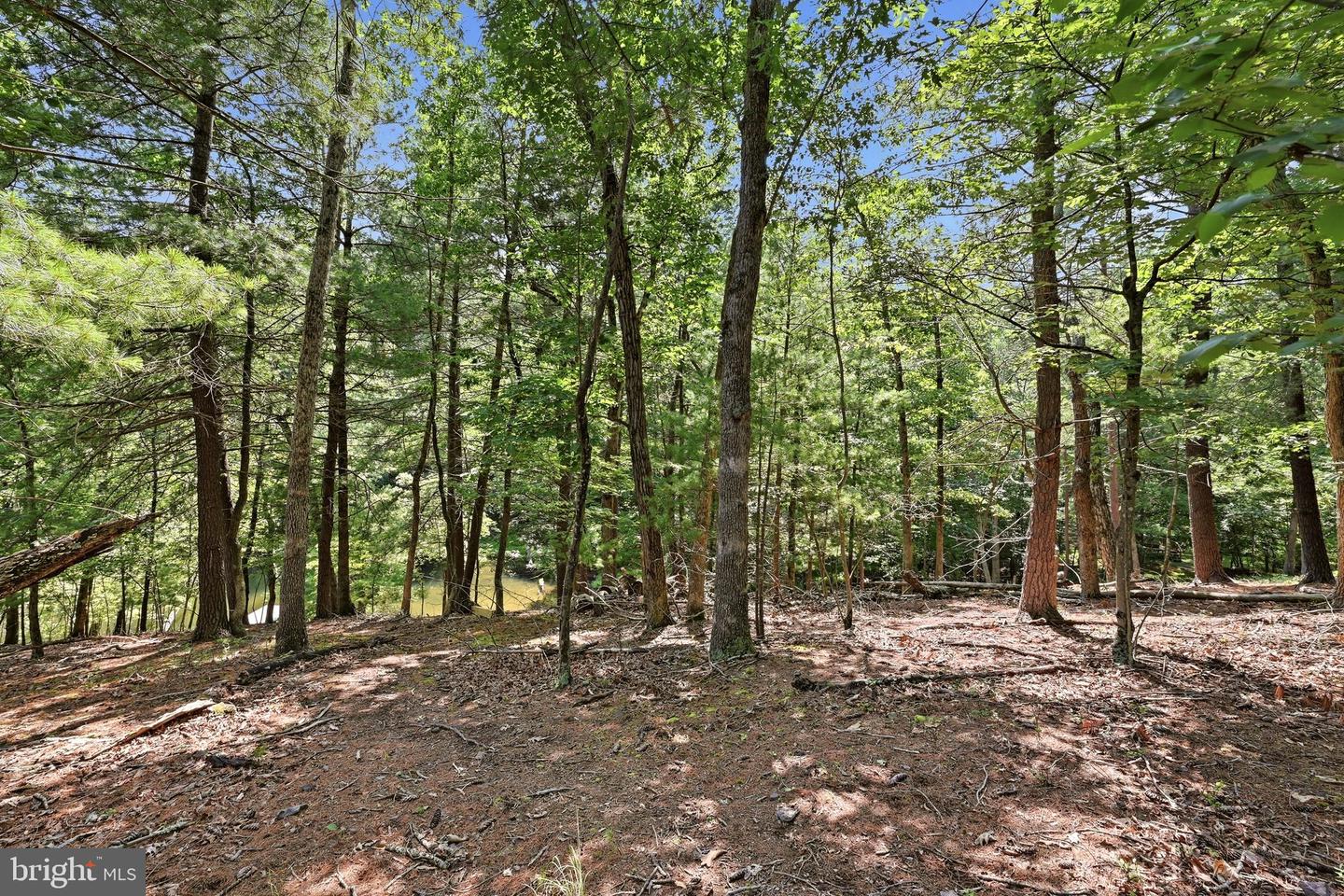 519 Northwood Circle Property Photo 6