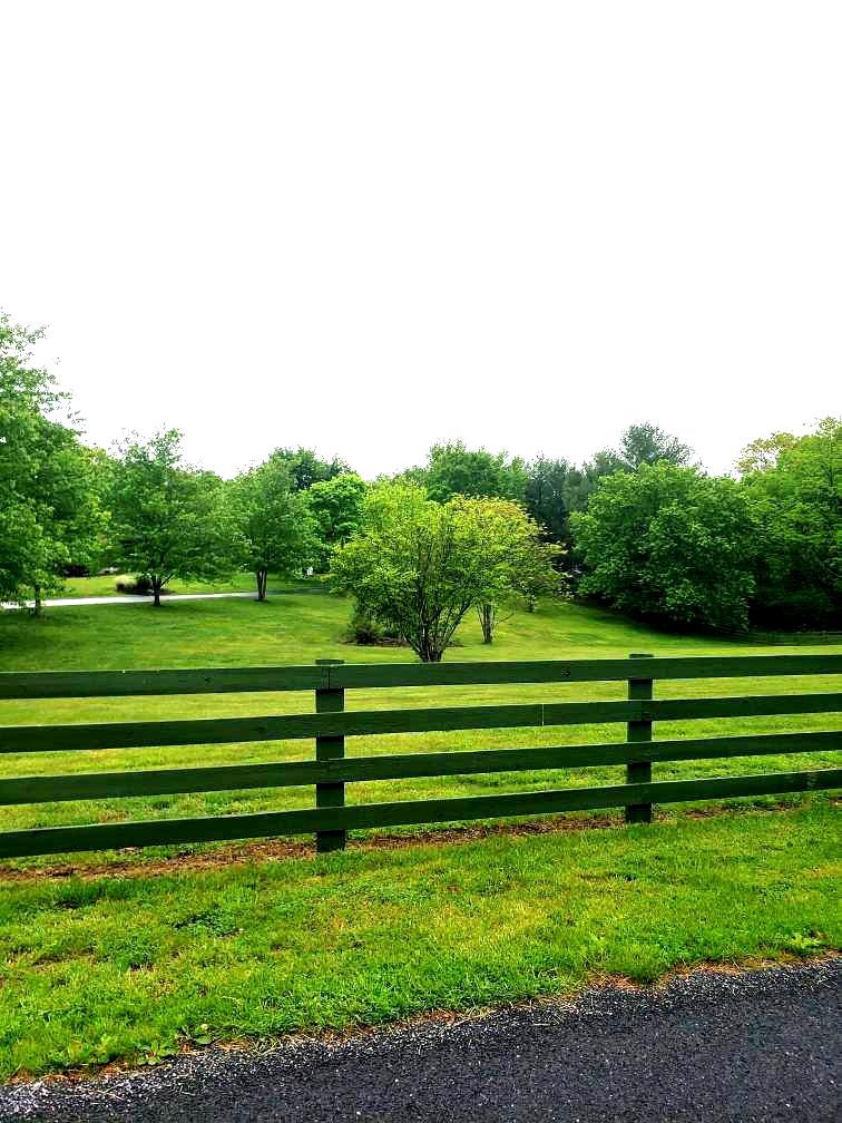 414 Devils Backbone Olook Property Photo 53