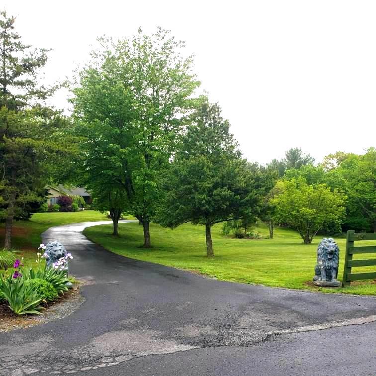 414 Devils Backbone Olook Property Photo 53